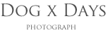 DogxDays - PHOTOGRAPH